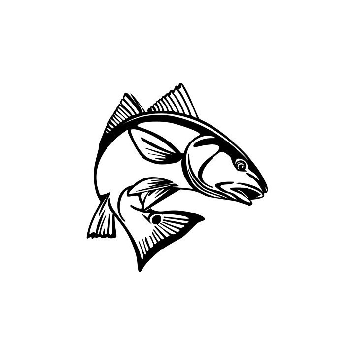 Redfish Vinyl Decal Sticker V9 - DecalsHouse