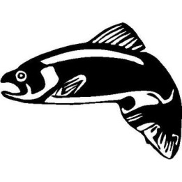 Salmon Fishing Vinyl Decal Sticker - DecalsHouse