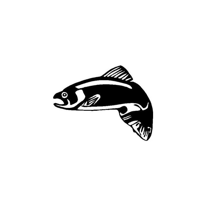 Salmon Fishing Vinyl Decal Sticker - DecalsHouse