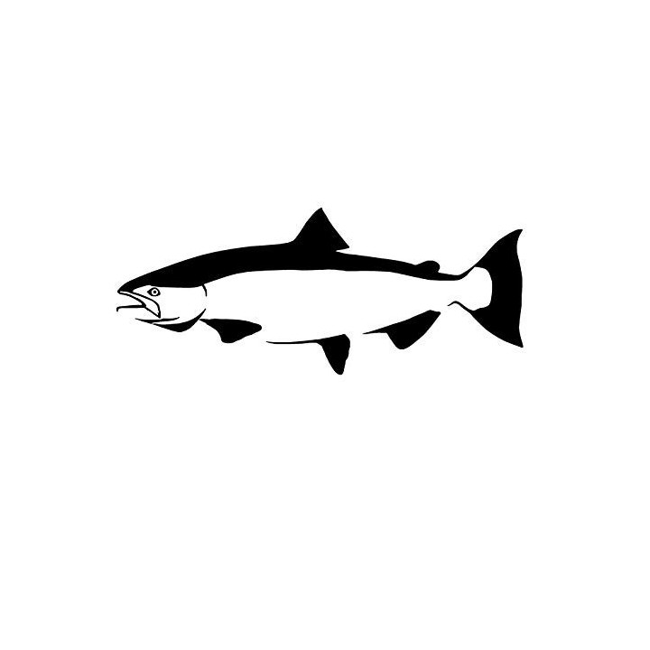 Salmon Vinyl Decal Sticker V2 - DecalsHouse