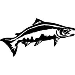 Salmon Vinyl Decal Sticker V9 - DecalsHouse