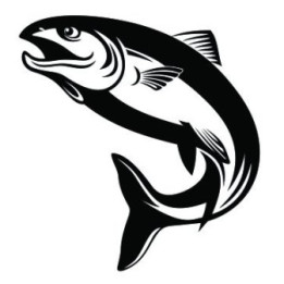 Salmon Vinyl Decal Sticker - DecalsHouse