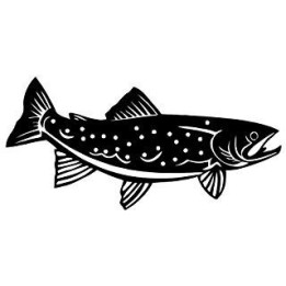 Speckled Sea Trout Vinyl Decal Sticker V2 - DecalsHouse