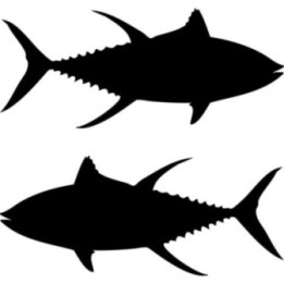 Tuna V15 Stickers – Bluefin Yellowfin Skipjack Offshore Fishing Decals (2-Pack)