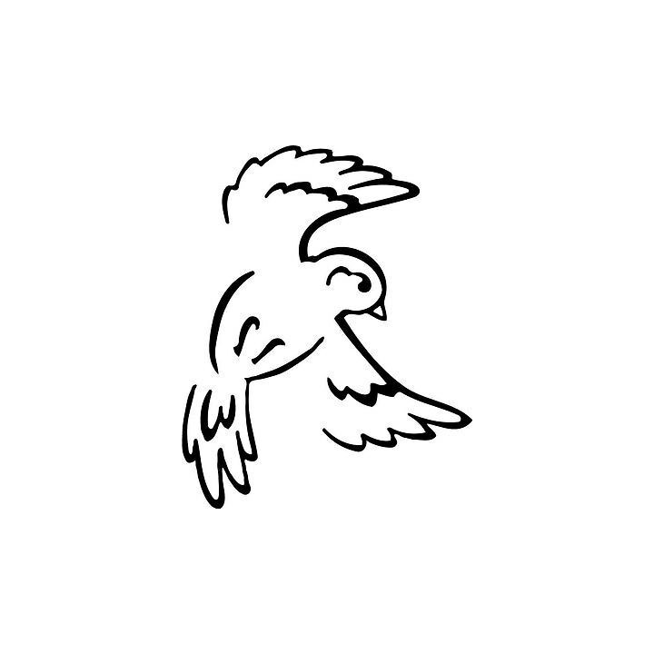 Bird Vinyl Decal Sticker V15 - DecalsHouse