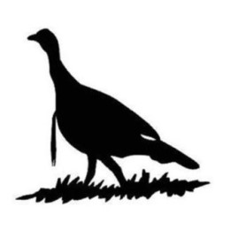 Bird Vinyl Decal Sticker V49 - DecalsHouse