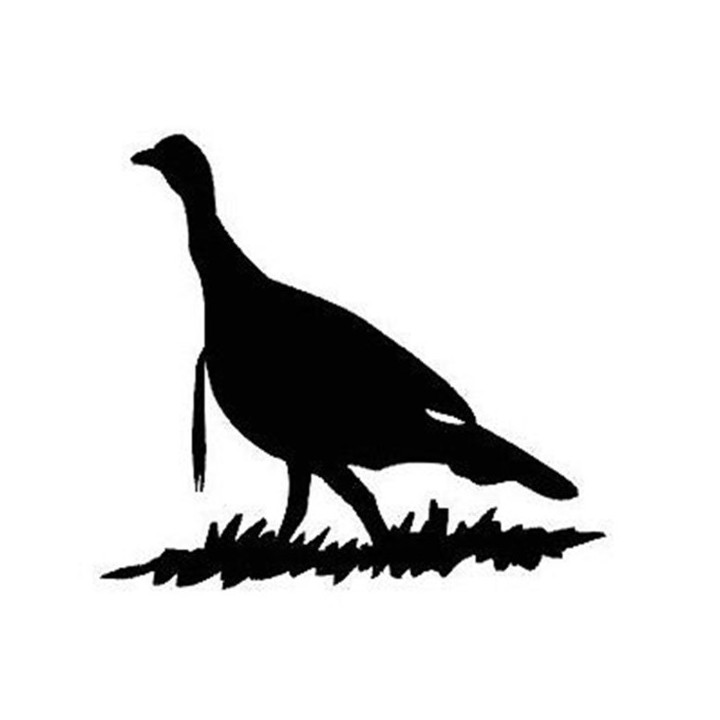 Bird Vinyl Decal Sticker V49 - DecalsHouse
