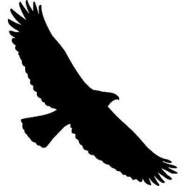 Bird Vinyl Decal Sticker V5 - DecalsHouse