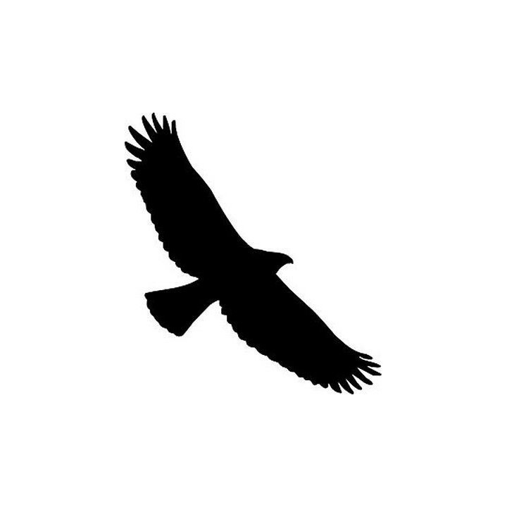 Bird Vinyl Decal Sticker V5 - DecalsHouse