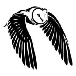 Bird Vinyl Decal Sticker V50 - DecalsHouse