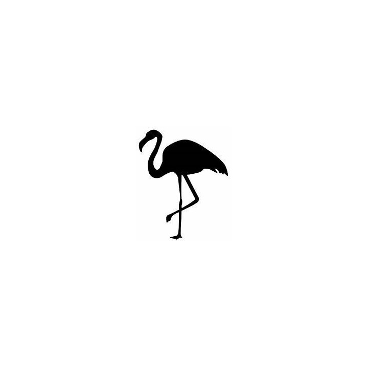 Bird Vinyl Decal Sticker V6 - DecalsHouse