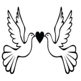 Bird Vinyl Decal Sticker V61 - DecalsHouse