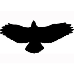 Bird Vinyl Decal Sticker V77 - DecalsHouse