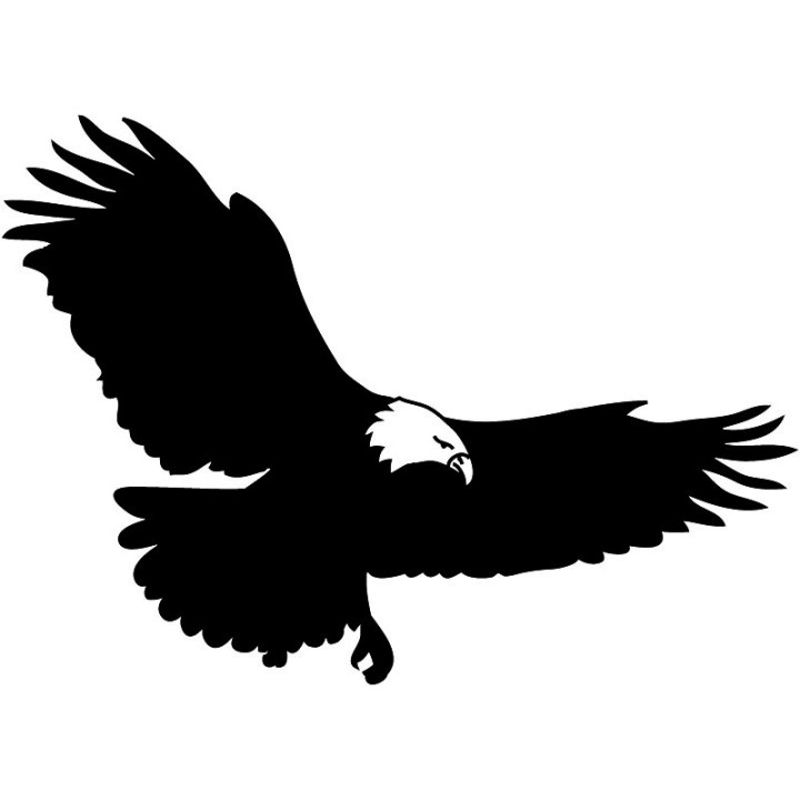 Bird Vinyl Decal Sticker V82 - DecalsHouse