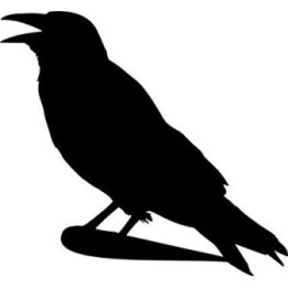 Crow Bird Vinyl Decal Sticker - DecalsHouse