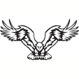 Eagle Bird Vinyl Decal Sticker - DecalsHouse