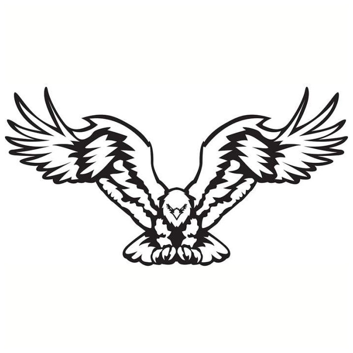 Eagle Bird Vinyl Decal Sticker - DecalsHouse