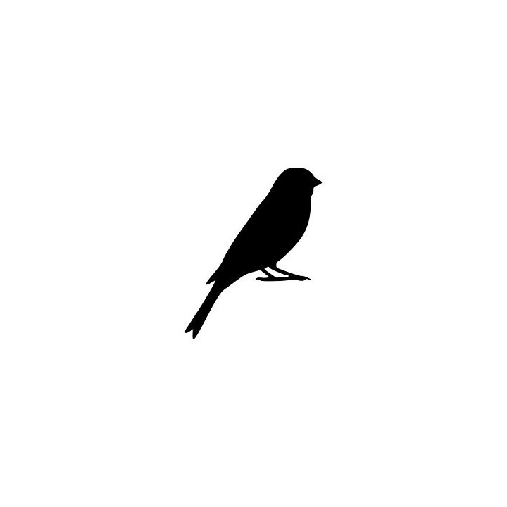 Finch Bird Vinyl Decal Sticker V7 - DecalsHouse