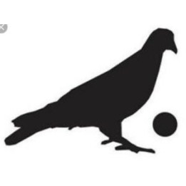 Pigeon Vinyl Decal Sticker V11 - DecalsHouse