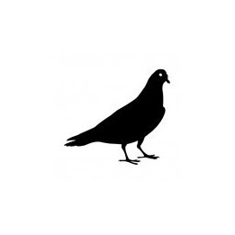 Pigeon Vinyl Decal Sticker V17 - DecalsHouse