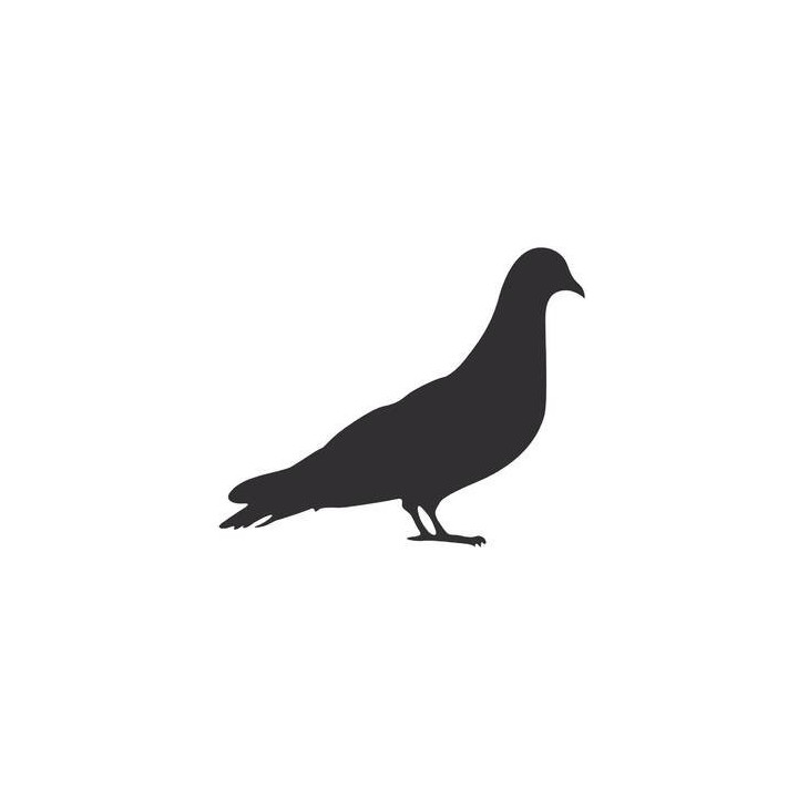 Pigeon Vinyl Decal Sticker V20 - DecalsHouse
