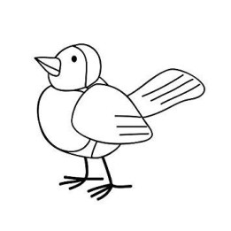 Pigeon Vinyl Decal Sticker V22 - DecalsHouse
