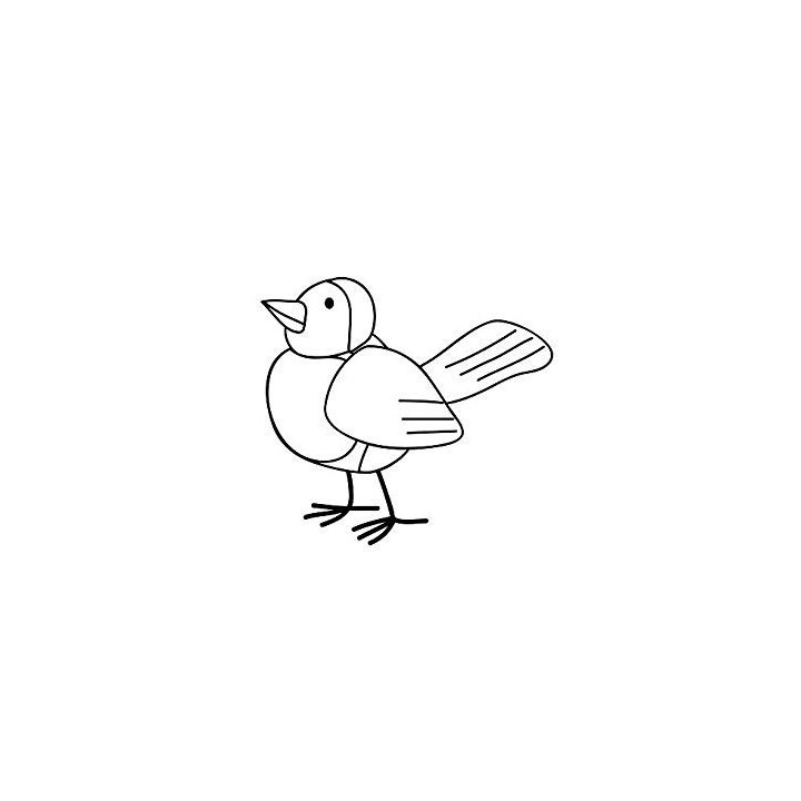 Pigeon Vinyl Decal Sticker V22 - DecalsHouse