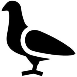 Pigeon Vinyl Decal Sticker V5 - DecalsHouse