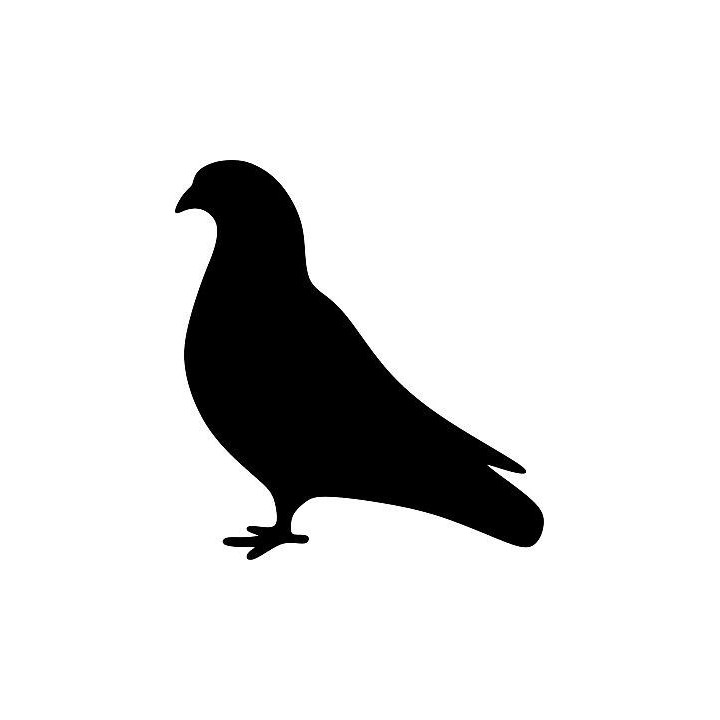 Pigeon Vinyl Decal Sticker V7 - DecalsHouse