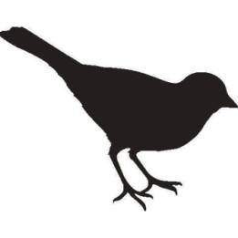 Sparrow Bird Vinyl Decal Sticker V12 - DecalsHouse
