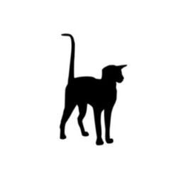 Cat V4 Sticker Vinyl Decal - DecalsHouse