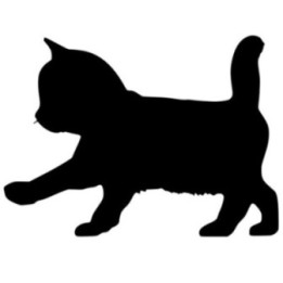 Cute Running Cat Kitten Sticker Vinyl Decal - DecalsHouse