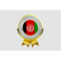 Afghanistan Flag Style 10 Sticker - DecalsHouse