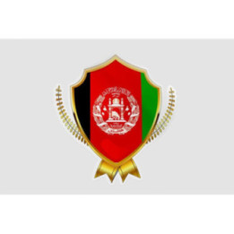 Afghanistan Flag Style 12 Sticker - DecalsHouse