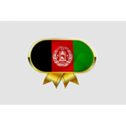 Afghanistan Flag Style 8 Sticker - DecalsHouse
