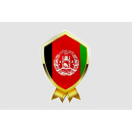 Afghanistan Flag Style 9 Sticker - DecalsHouse