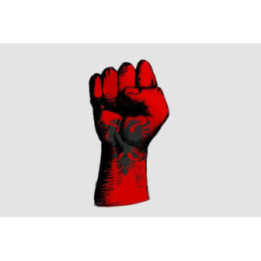 Albania Fist Sticker - DecalsHouse