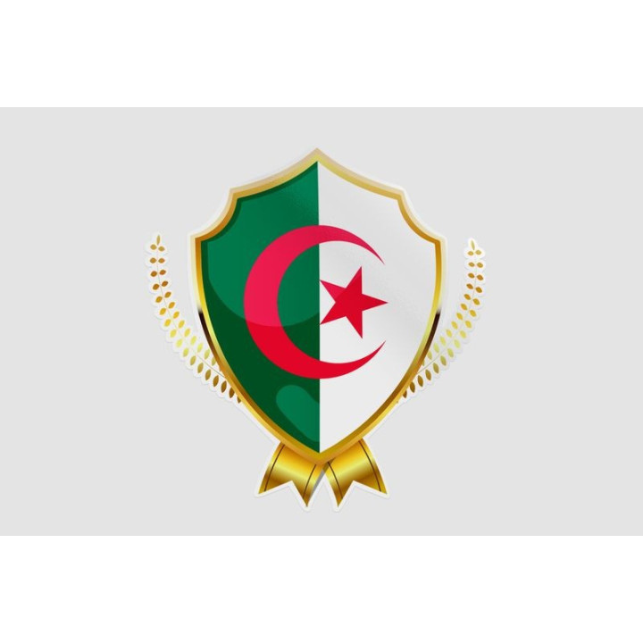 Algeria Flag Style 10 Sticker - DecalsHouse