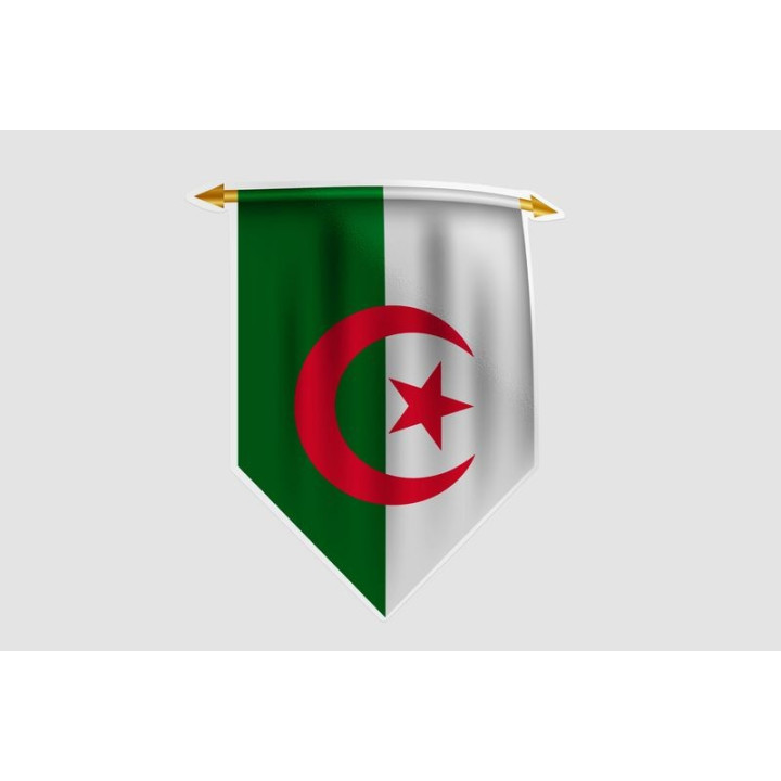 Algeria Flag Style 12 Sticker - DecalsHouse