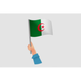Algeria Flag Style 21 Sticker - DecalsHouse