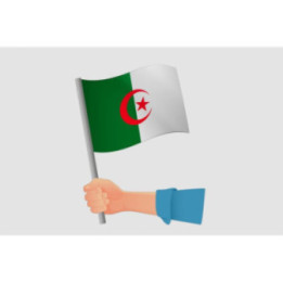 Algeria Flag Style 22 Sticker - DecalsHouse