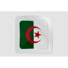 Algeria Flag Style 25 Sticker - DecalsHouse