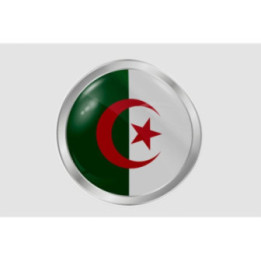 Algeria Flag Style 27 Sticker - DecalsHouse