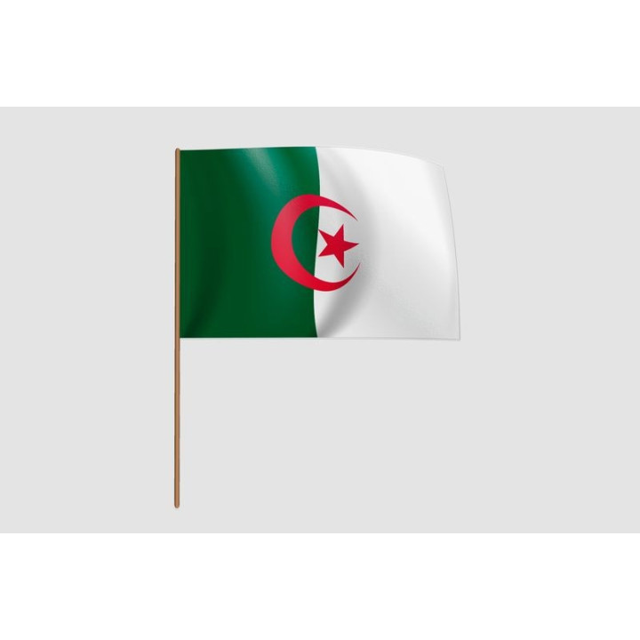 Algeria Flag Style 28 Sticker - DecalsHouse