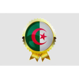 Algeria Flag Style 3 Sticker - DecalsHouse