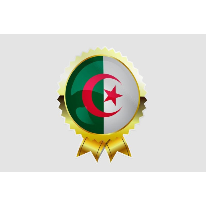 Algeria Flag Style 3 Sticker - DecalsHouse