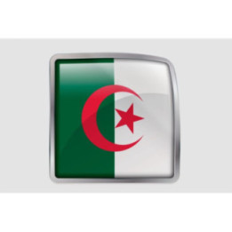 Algeria Flag Style 30 Sticker - DecalsHouse