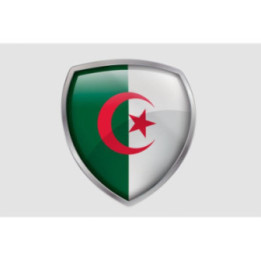 Algeria Flag Style 31 Sticker - DecalsHouse