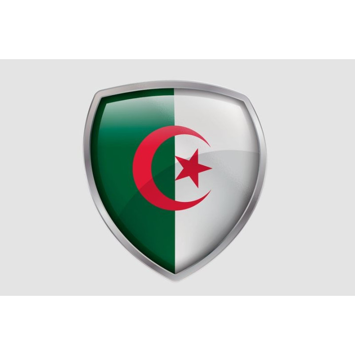 Algeria Flag Style 31 Sticker - DecalsHouse