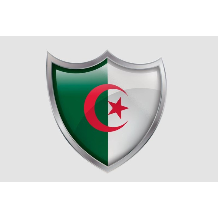 Algeria Flag Style 33 Sticker - DecalsHouse
